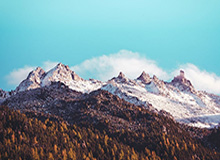 博鱼体育登录入口-圣诞大战看哪场？库里字母陪衬 湖人独行侠唱主角